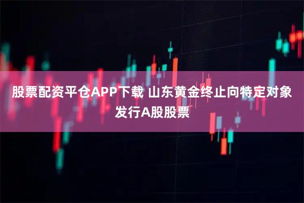 股票配资平仓APP下载 山东黄金终止向特定对象发行A股股票