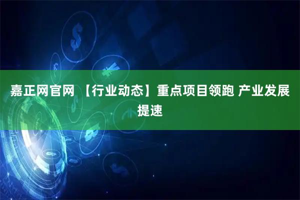 嘉正网官网 【行业动态】重点项目领跑 产业发展提速