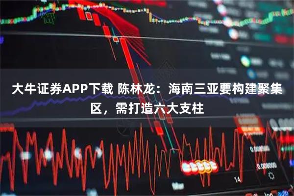 大牛证券APP下载 陈林龙：海南三亚要构建聚集区，需打造六大支柱