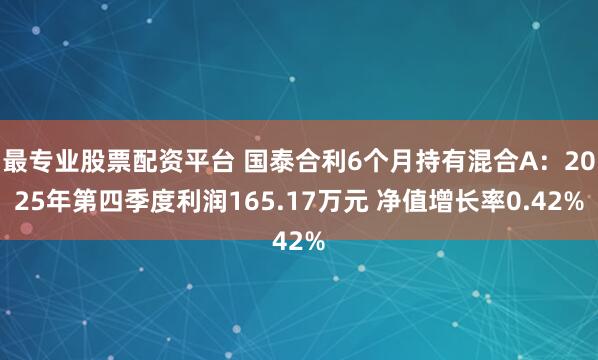 最专业股票配资平台 国泰合利6个月持有混合A：2025年第四季度利润165.17万元 净值增长率0.42%
