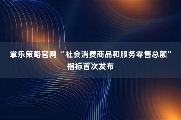 掌乐策略官网 “社会消费商品和服务零售总额”指标首次发布
