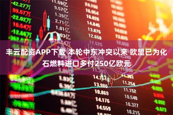 丰云配资APP下载 本轮中东冲突以来 欧盟已为化石燃料进口多付250亿欧元